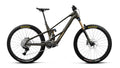 ORBEA WILD LT M10